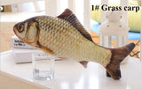 Cat Fish Plushies with FREE catnip