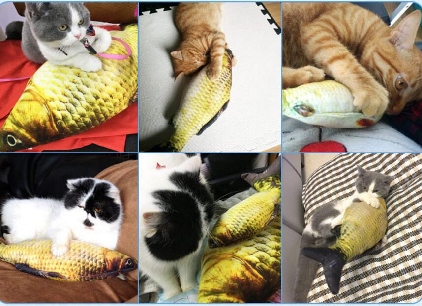 Cat Fish Plushies with FREE catnip