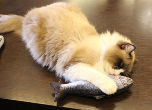 Cat Fish Plushies with FREE catnip