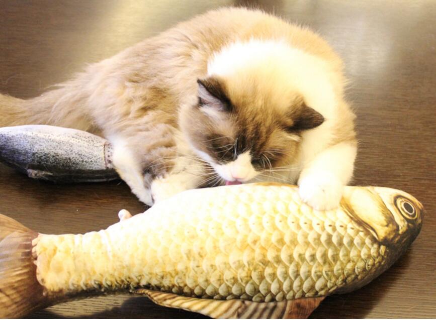 Cat Fish Plushies with FREE catnip