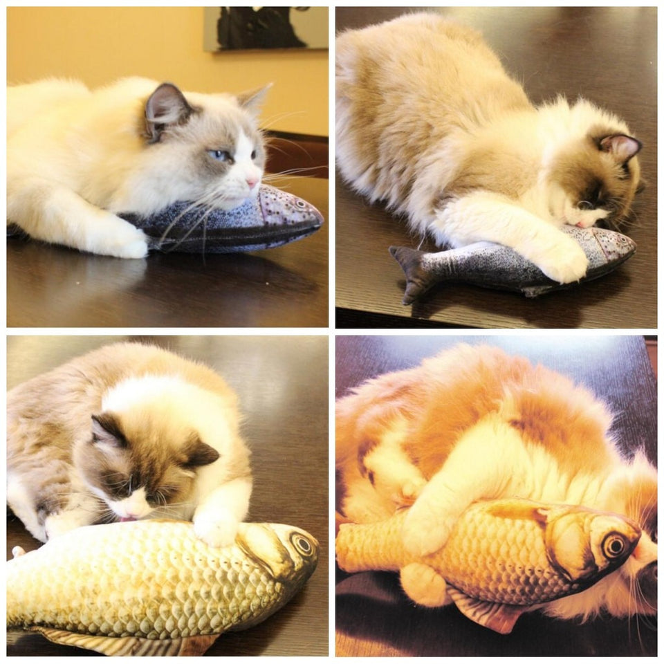 Cat Fish Plushies with FREE catnip