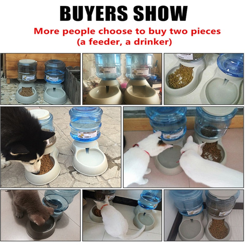 Automatic Pet Feeder