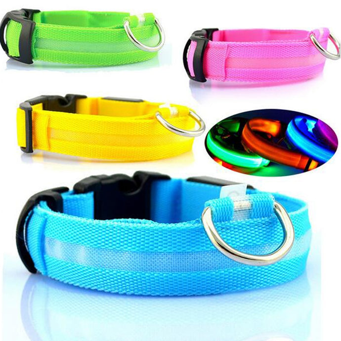 LED Glowing Collar for Night Safety