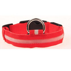 LED Glowing Collar for Night Safety
