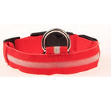 LED Glowing Collar for Night Safety