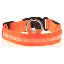 LED Glowing Collar for Night Safety