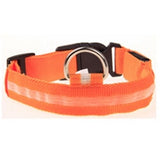 LED Glowing Collar for Night Safety