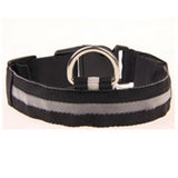 LED Glowing Collar for Night Safety