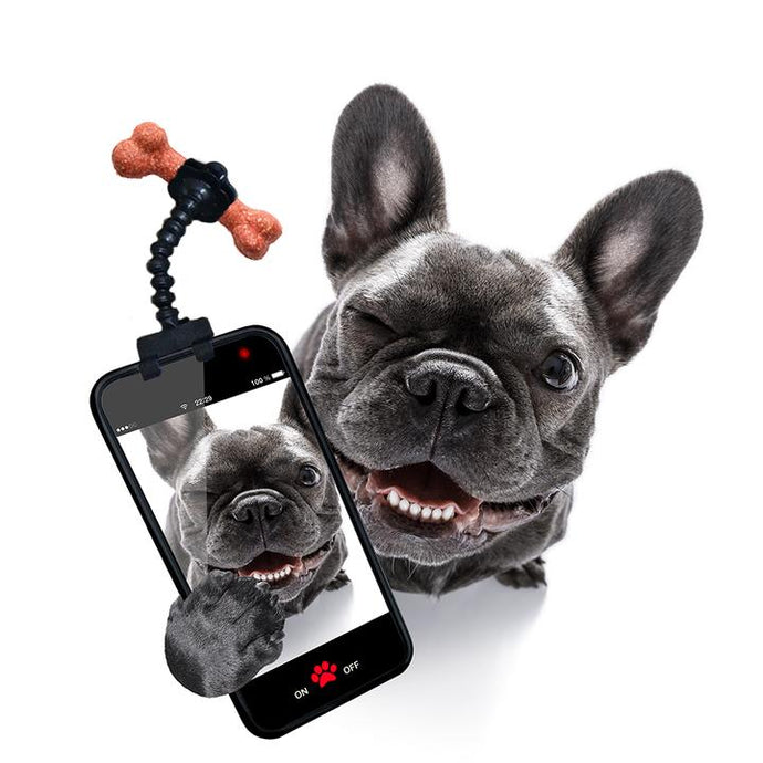 Pet Selfie Stick