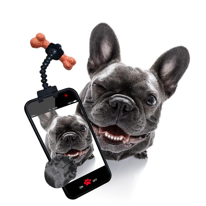 Pet Selfie Stick
